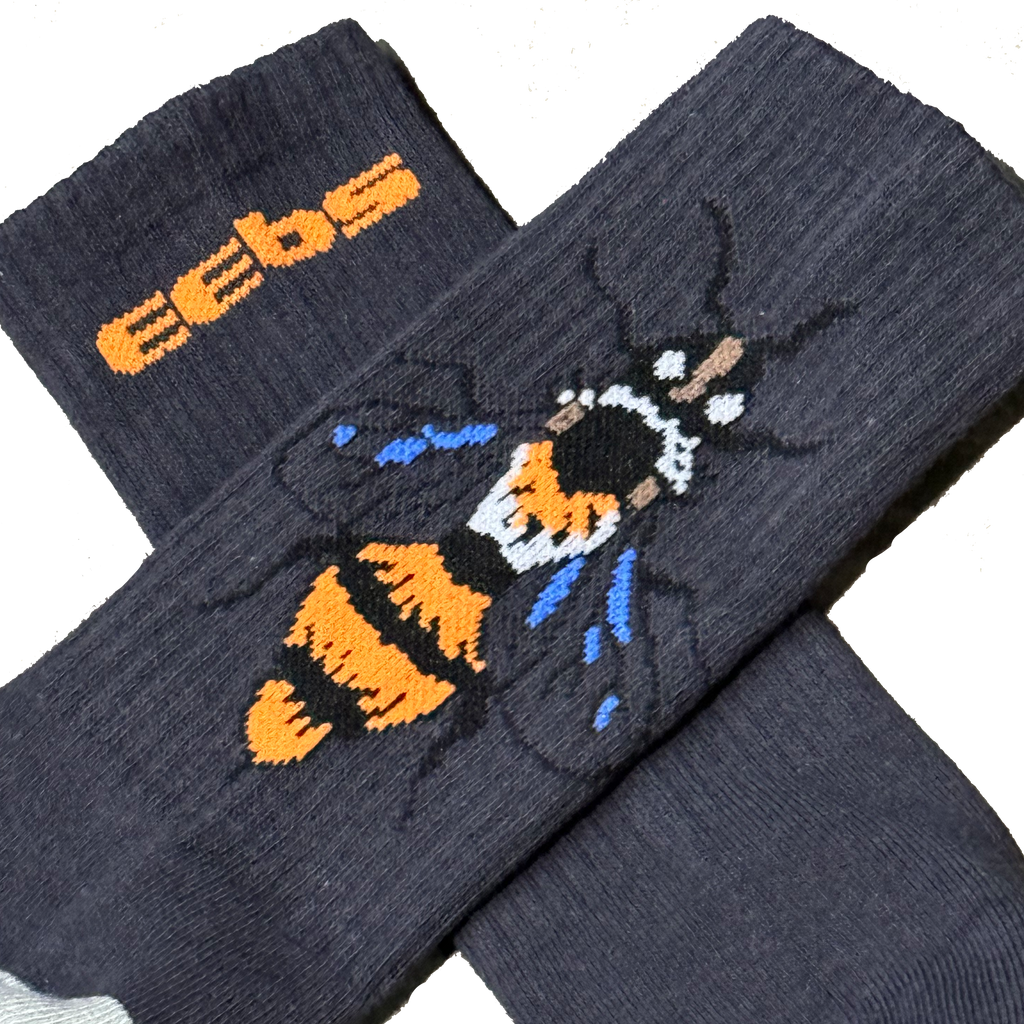 ORANGE/BLUE BEE SOCKS